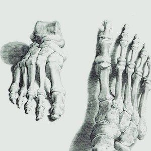 Meet your Posher, Kathryn